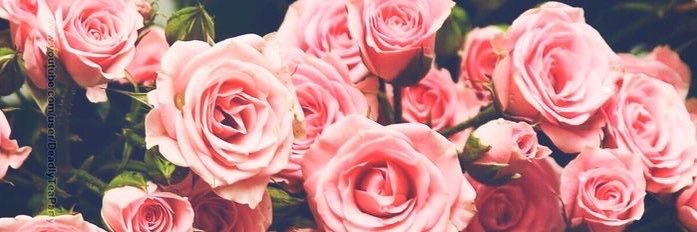 AnayaV23's profile banner image