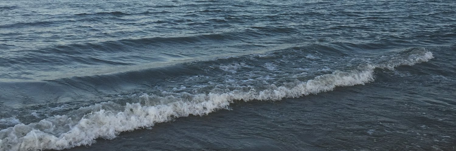 mynnchann's profile banner image