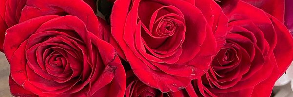 JKane_EISD Profile Banner