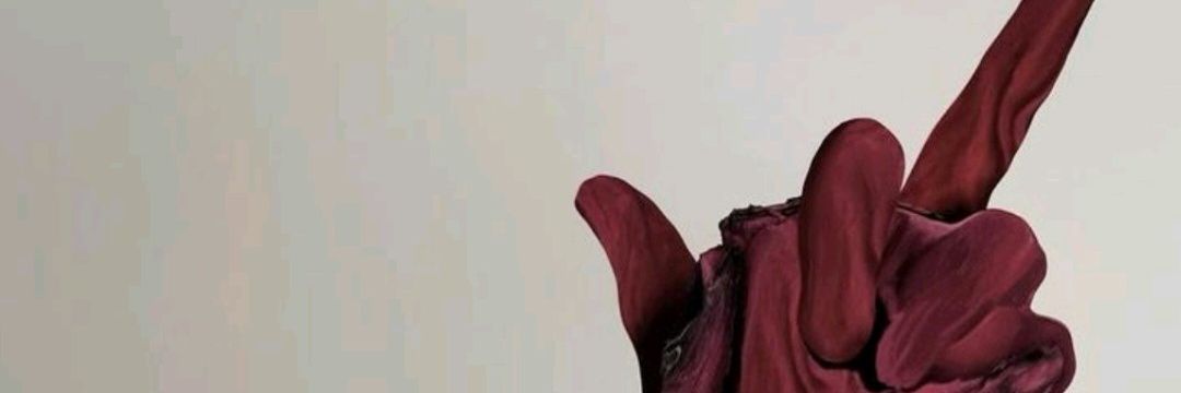 beckyc2's profile banner image
