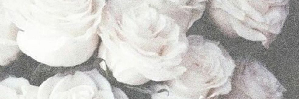 SECRET 🌃🌃 banner
