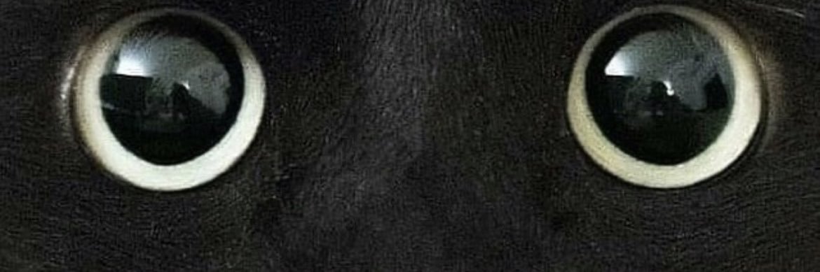 Mchadwick1062's profile banner image