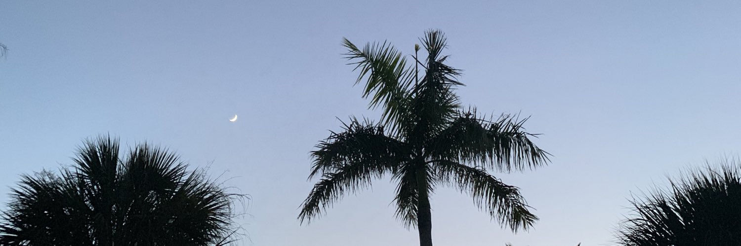 alli_dillard's profile banner image