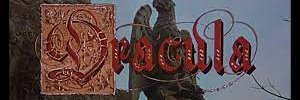VinceStadon's profile banner image