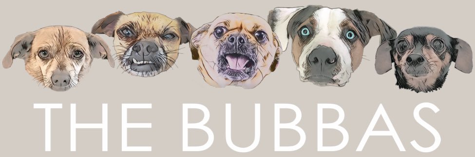 TheBubbasBand's profile banner image