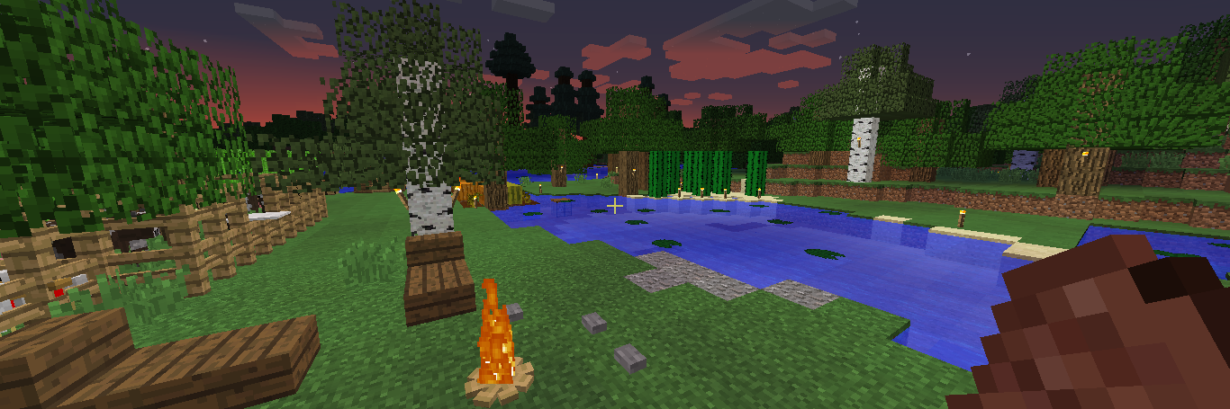 🐢Life Seeking Truth & Other Wild Things🏳‍🌈🏳️‍⚧ banner