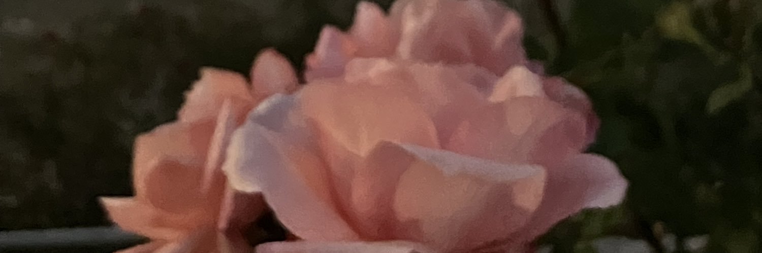 midorinousagi_'s profile banner image