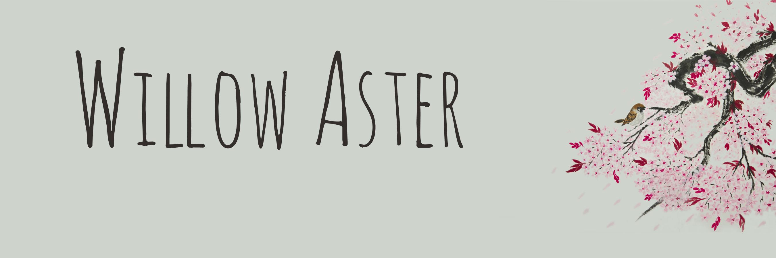 Willow Aster banner