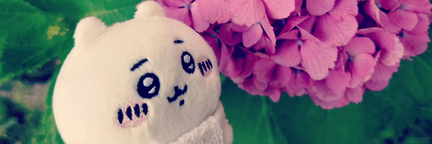 ꕤ*.ﾟ璃咲夢ʚïɞ.•*¨*•.¸¸♬'s banner