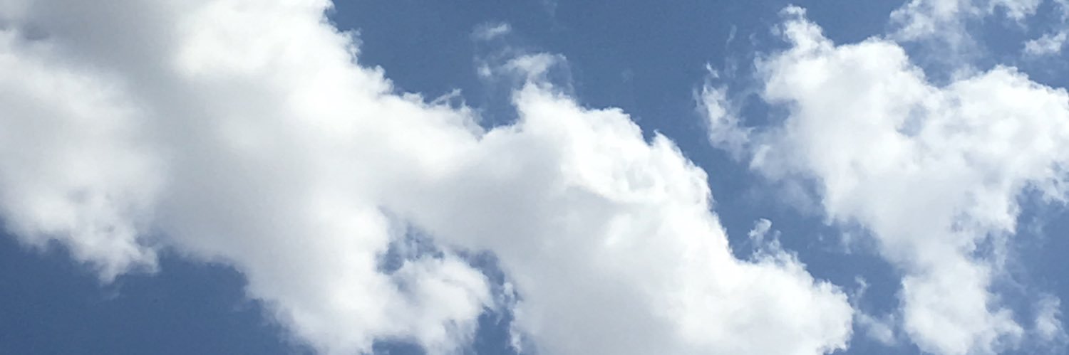 Fernando Cook banner