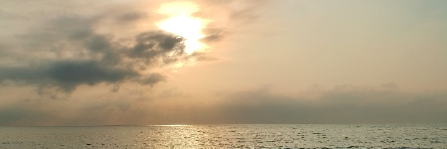 liiyin ﾟ⁠+ /🧩🎠🏖️ banner