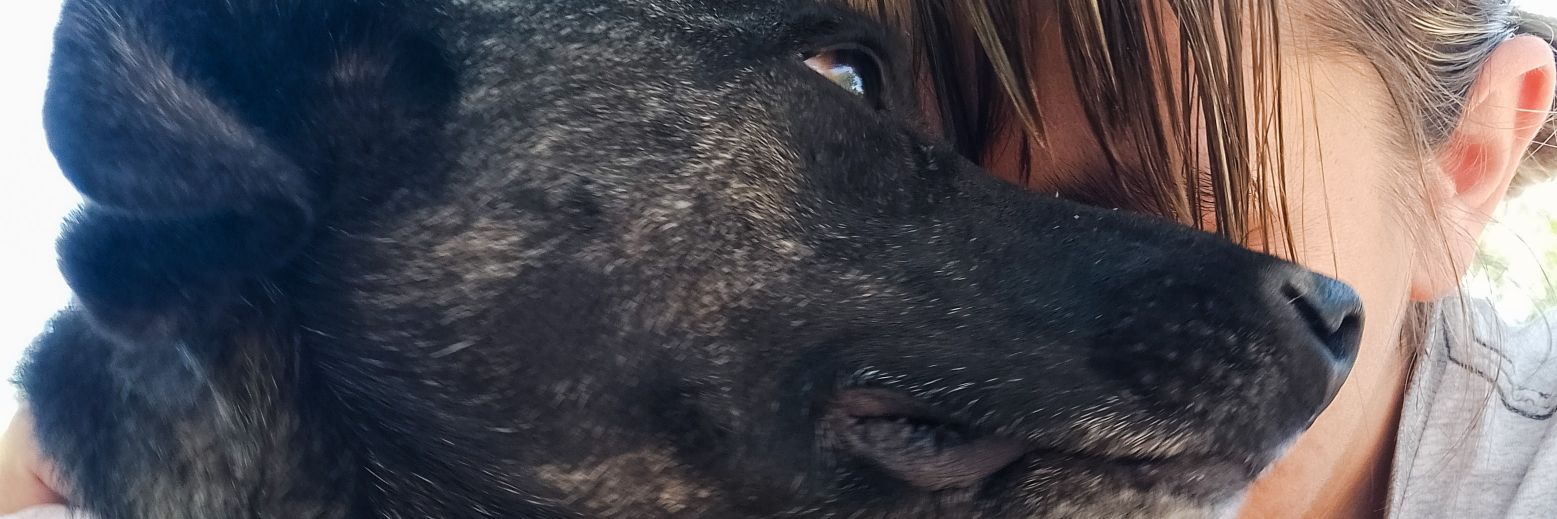 FloppyRivera's profile banner image