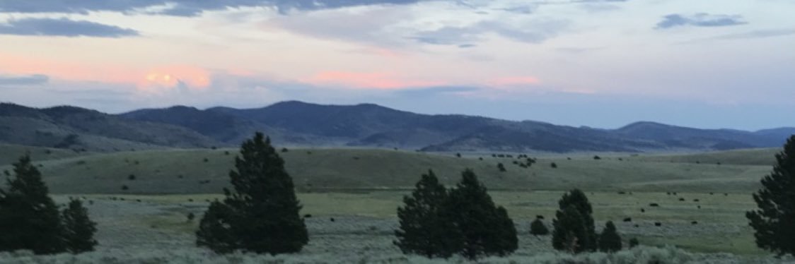 JakeSlaugh's profile banner image