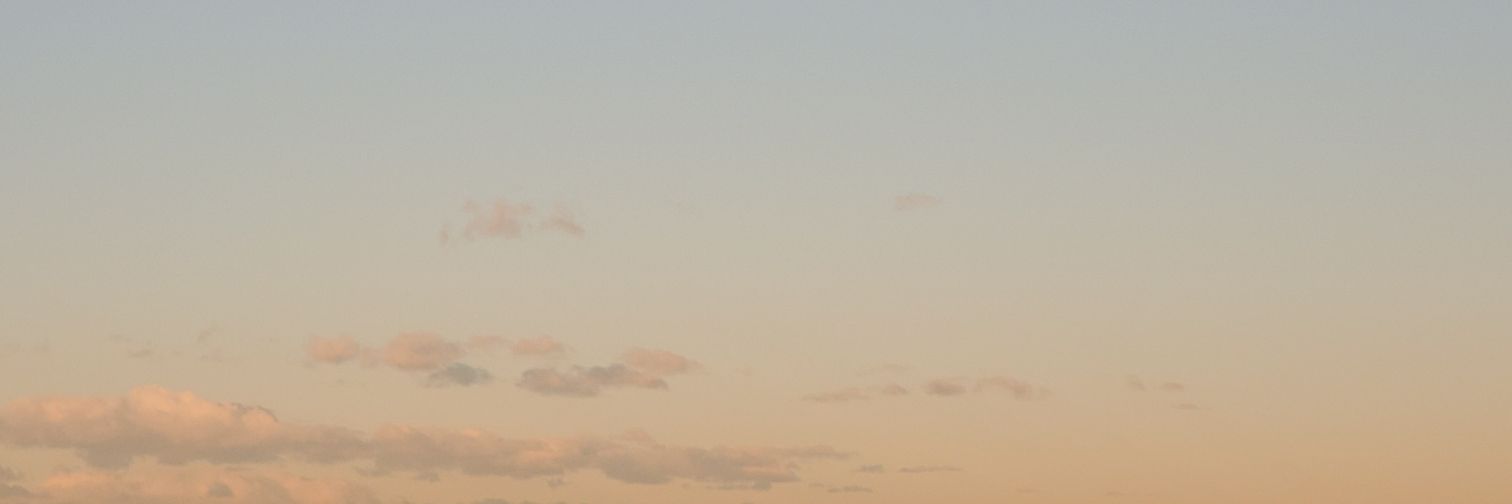ちょん banner