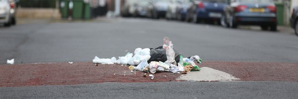 IrishLitter Profile Banner