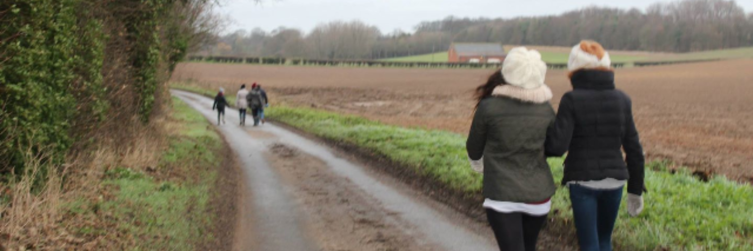 bexoconnor's profile banner image
