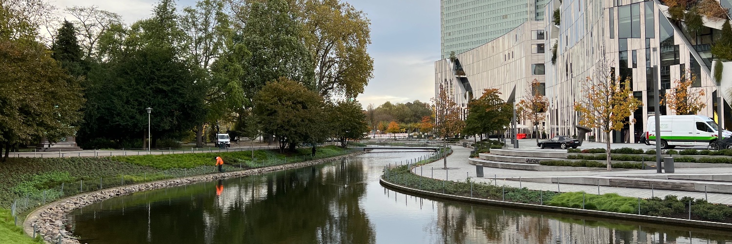 Dr. Hubert Senanu Ahor banner