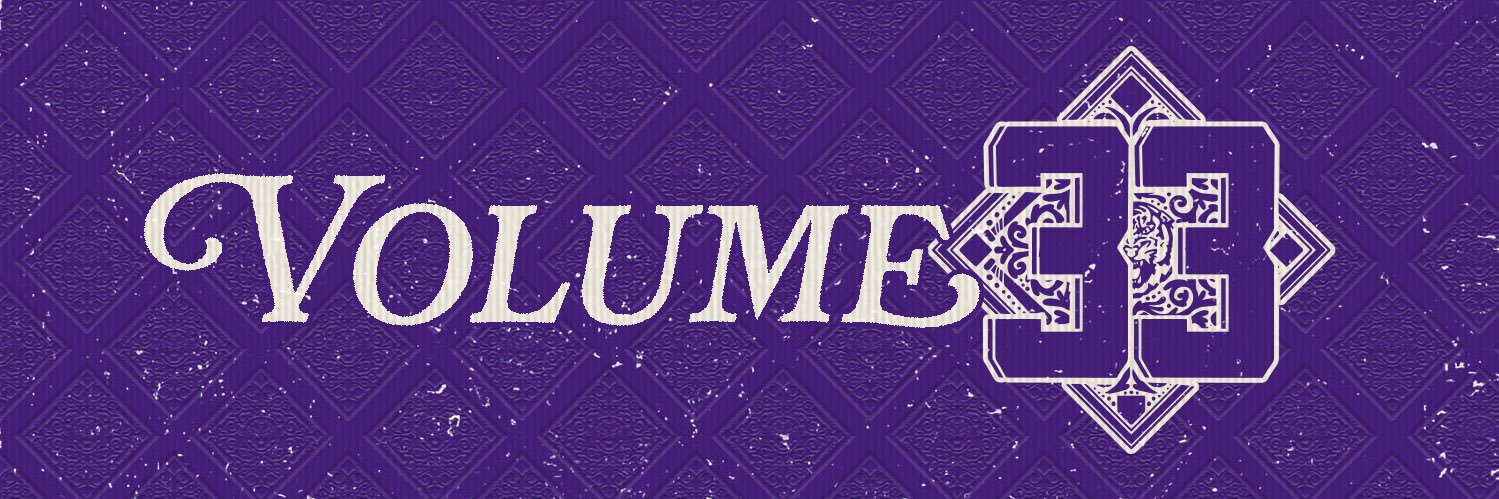 LSU Softball's banner