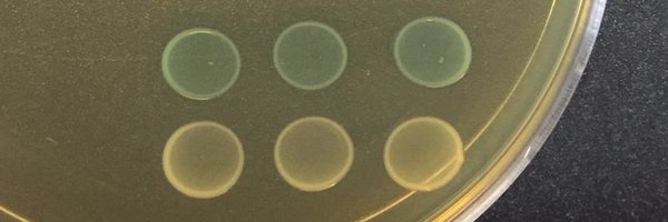 TurnerLabUQ Profile Banner