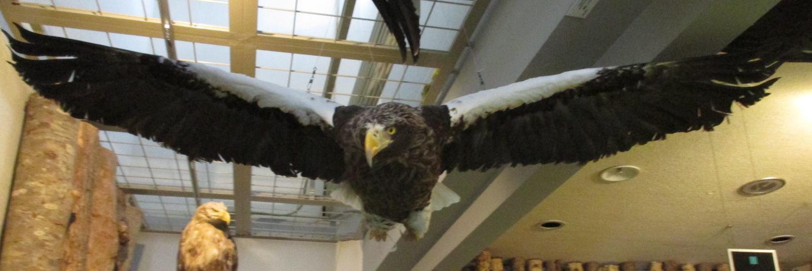 大学祭 アクティブ！ banner