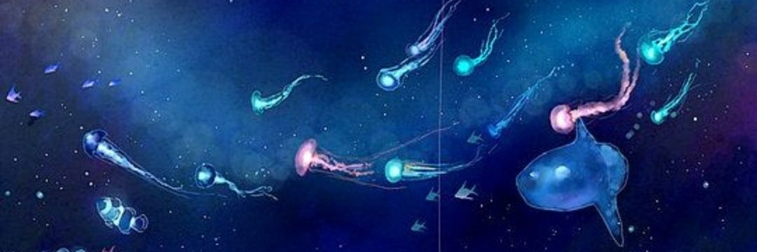 sbarbaring's profile banner image