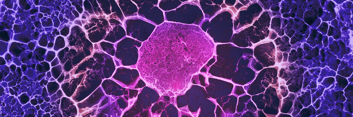 Eileen Gentleman Lab banner