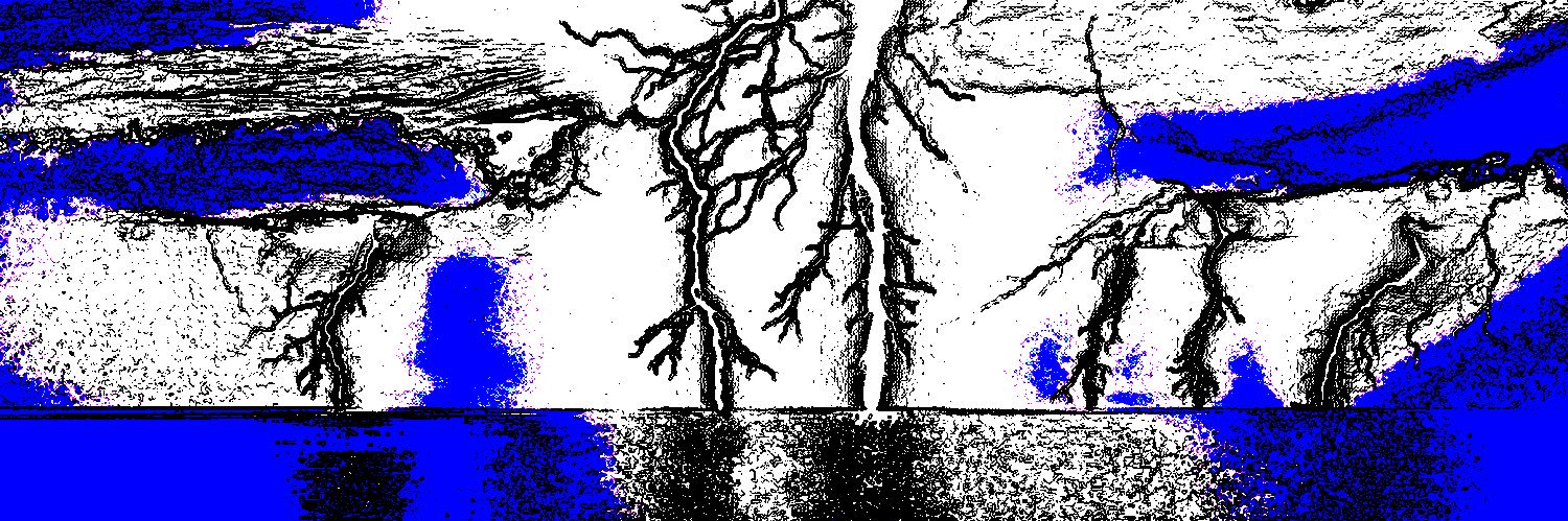 evan banner