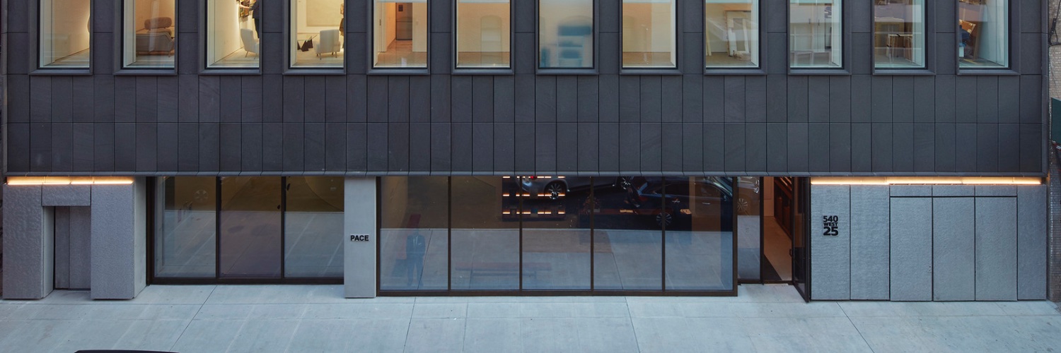 Pace Gallery banner