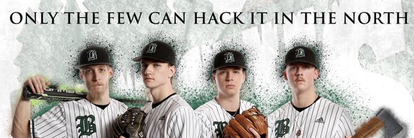 DCBBaseball Profile Banner