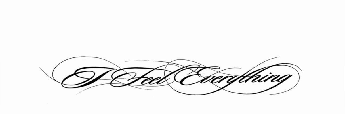 dani ꕤ banner