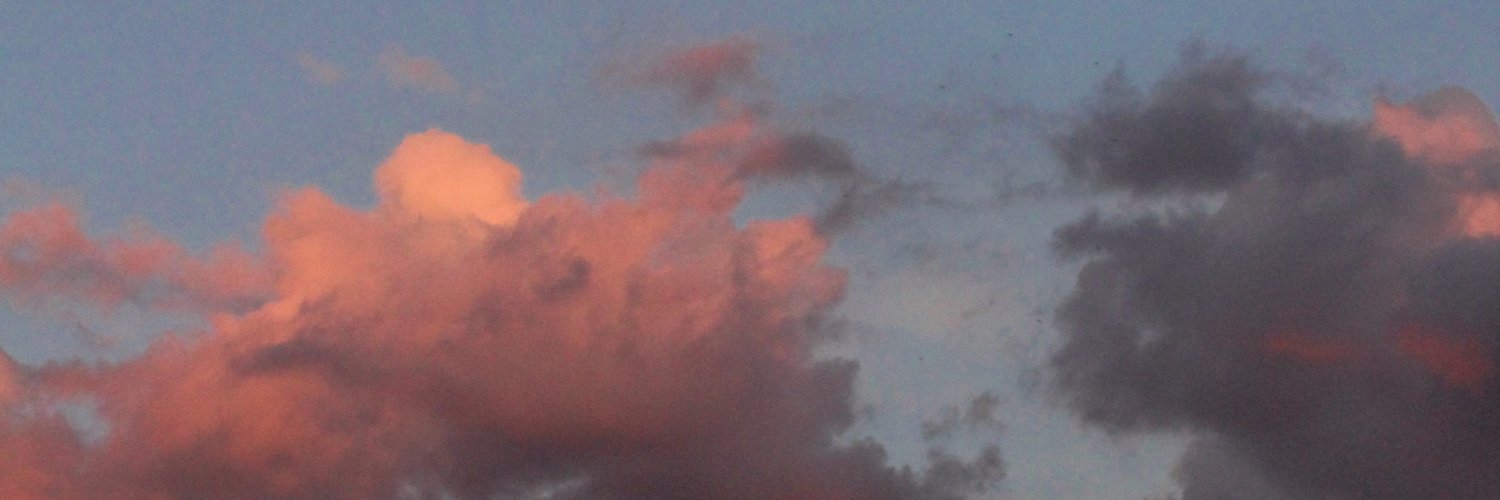 logan_haslam's profile banner image