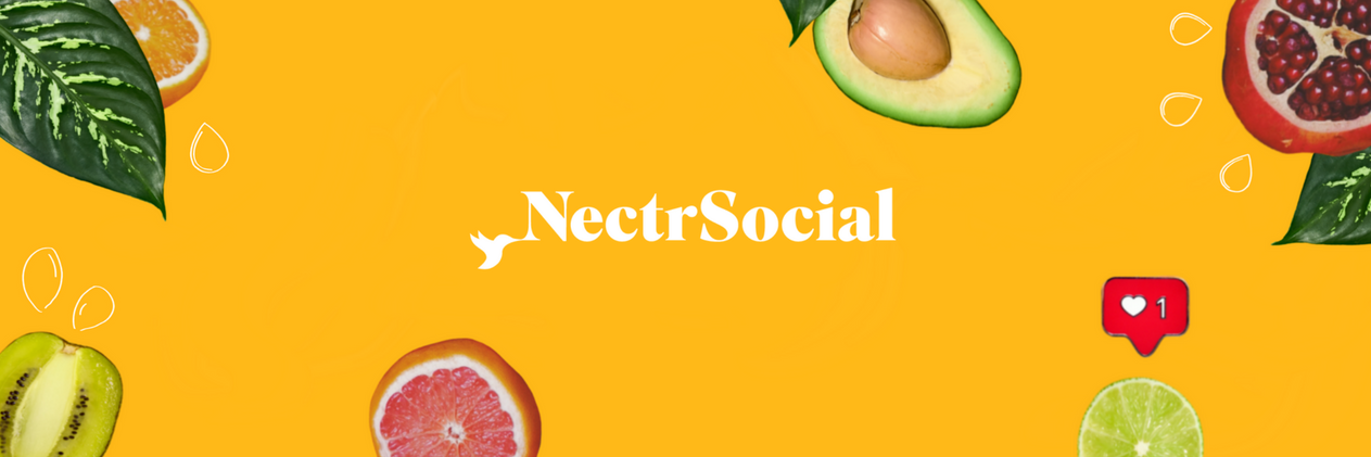 Nectr Social banner