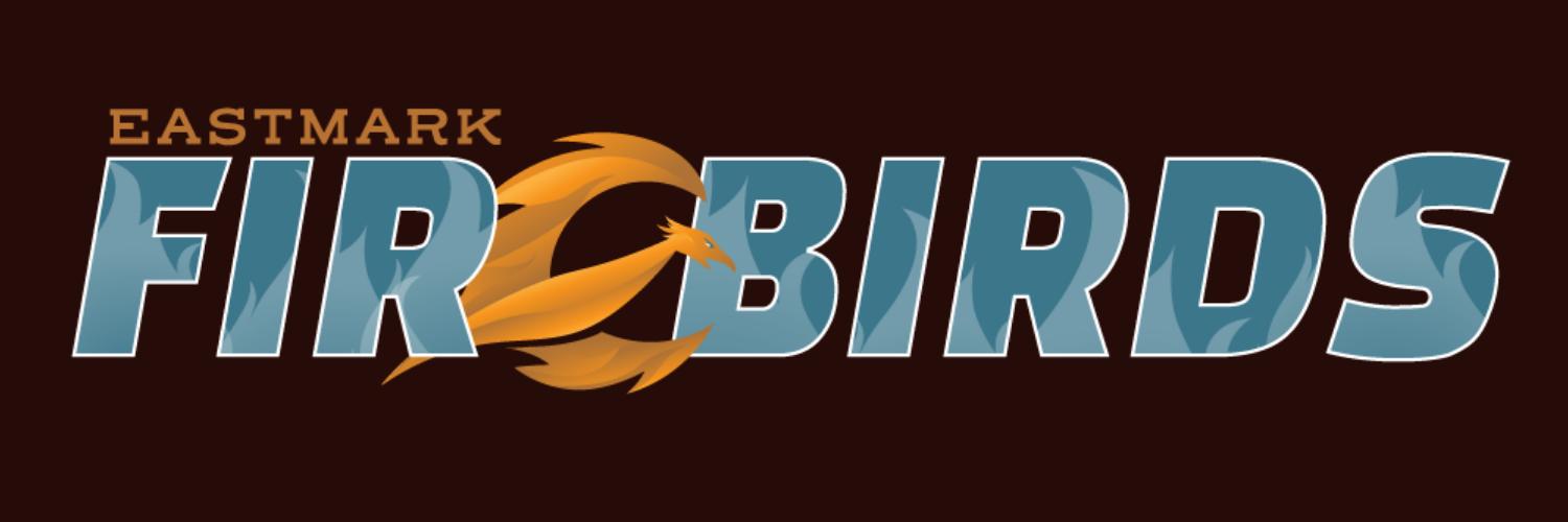 Eastmark High School (QCUSD) banner