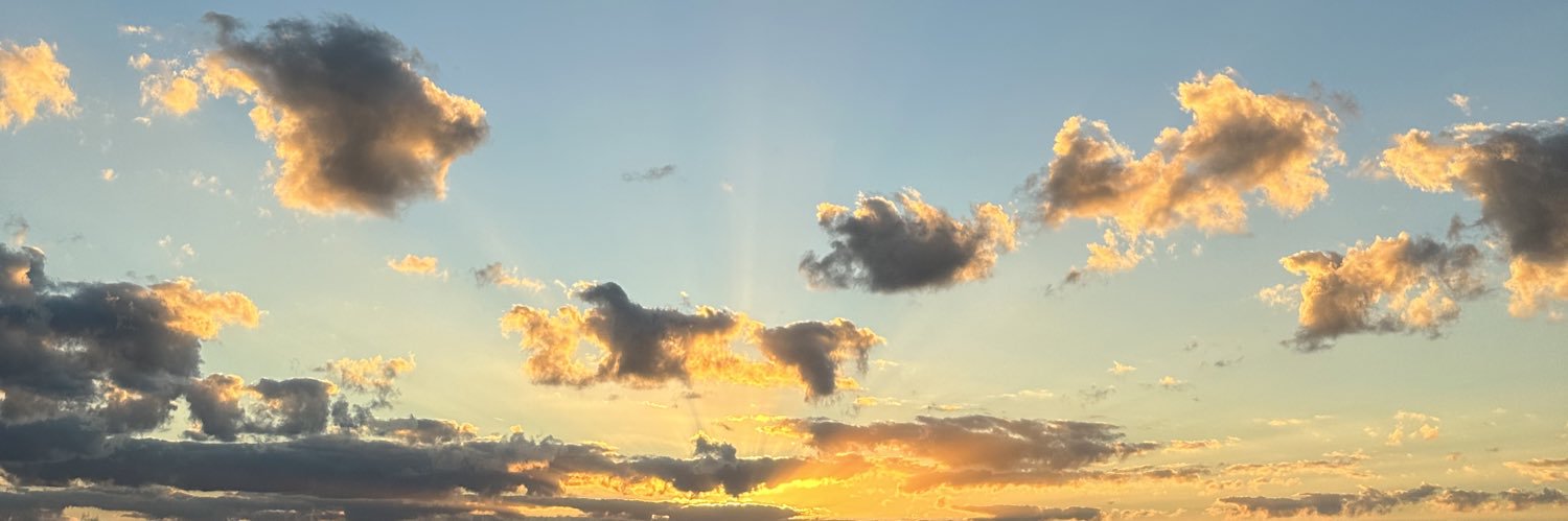 WILDA__eth's profile banner image