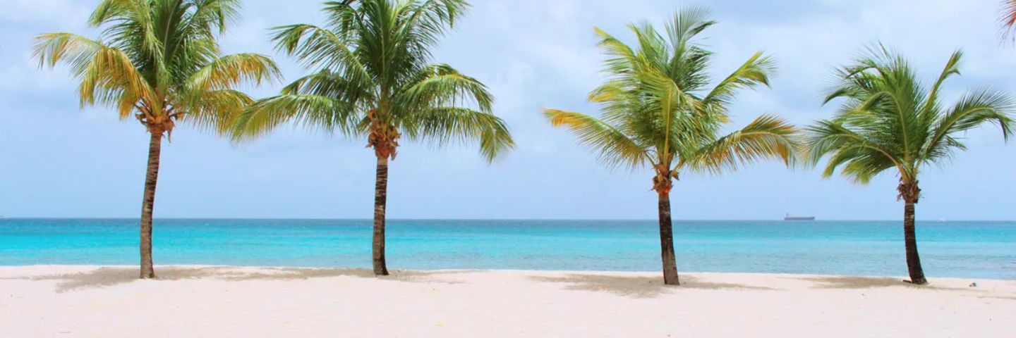 Connelly1Kemp's profile banner image