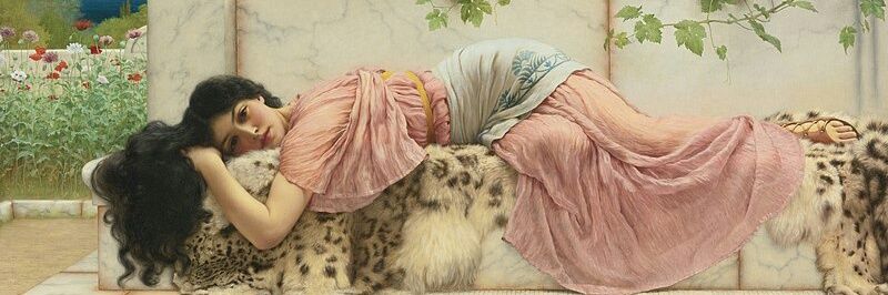 DelbrySebelen's profile banner image