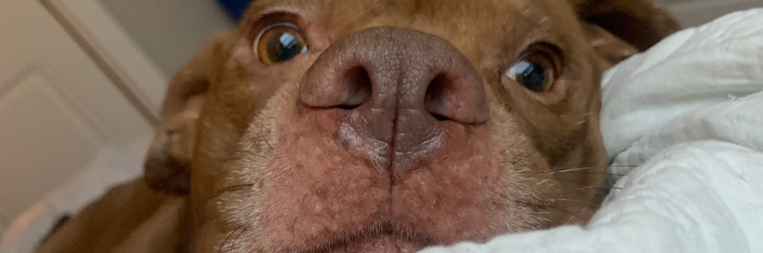 HeyItsHollis's profile banner image