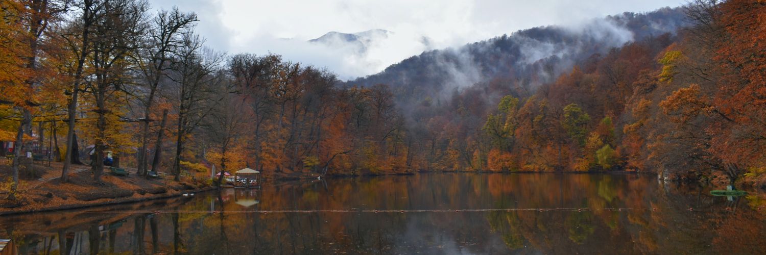 Anna Hakhverdyan banner
