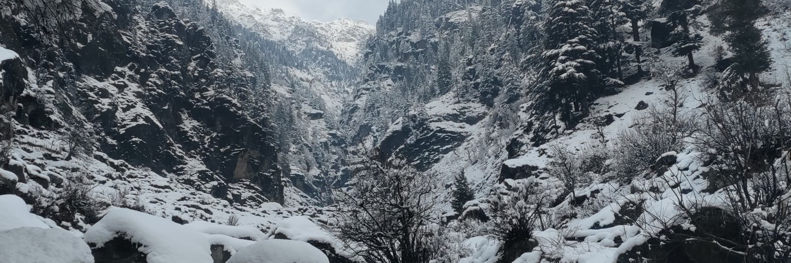 Abdullah 🍁 banner