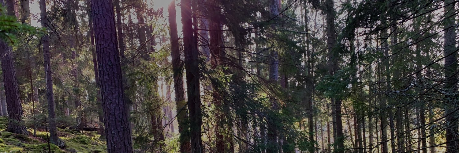 JMeadowstream's profile banner image
