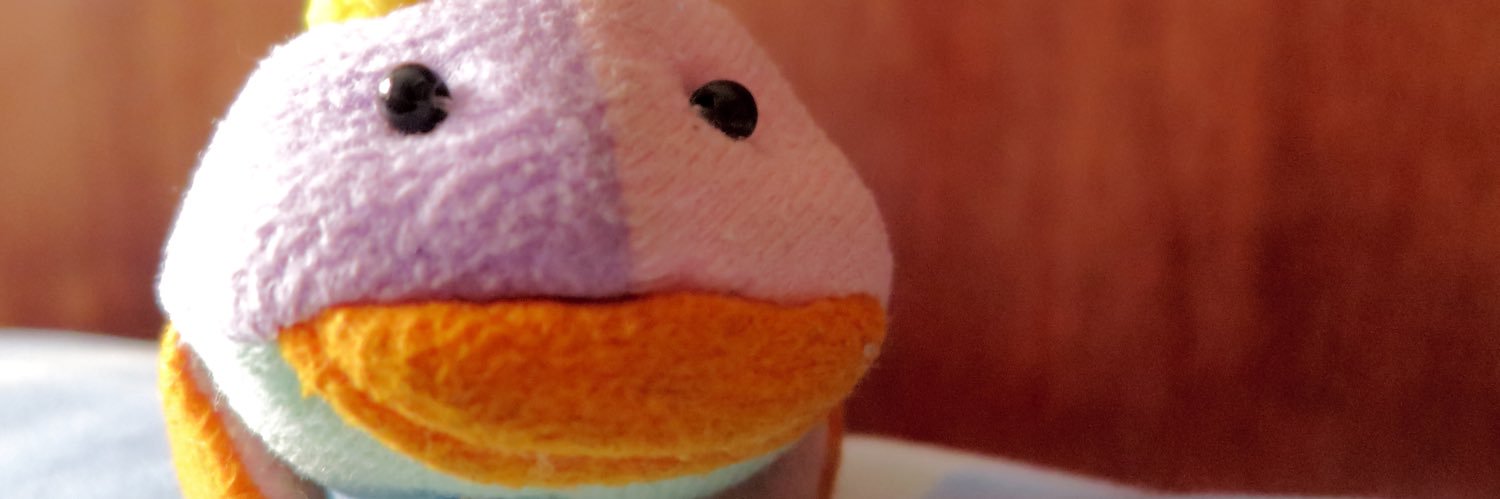 RayLeighTheFish's profile banner image