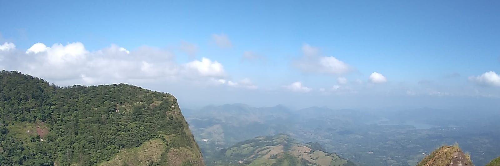 crinolina's profile banner image