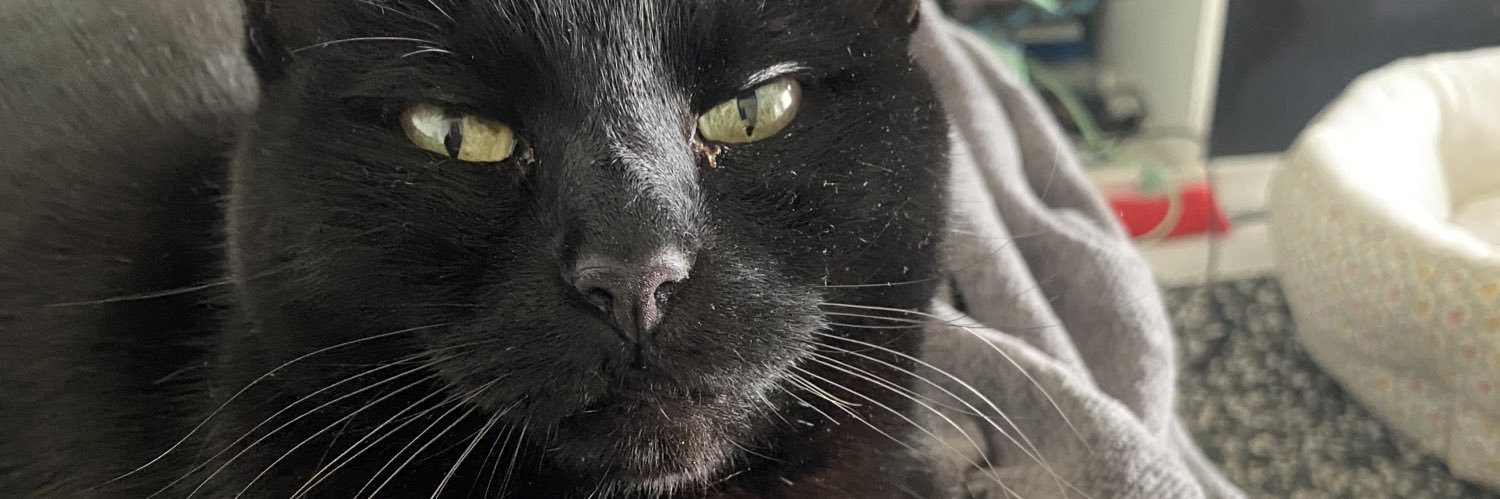 birdoftallness's profile banner image