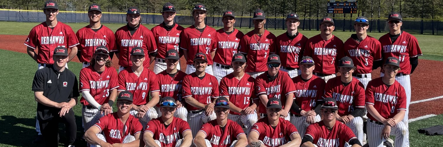 Red Hawks Baseball banner