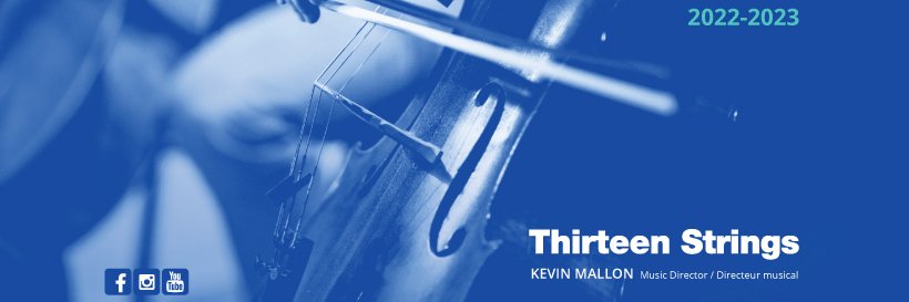 Thirteen Strings banner