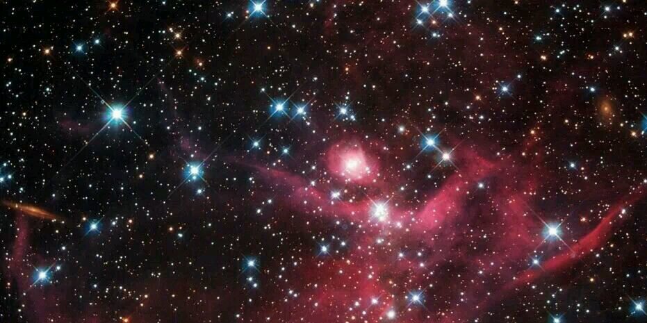 Jonathan Race banner