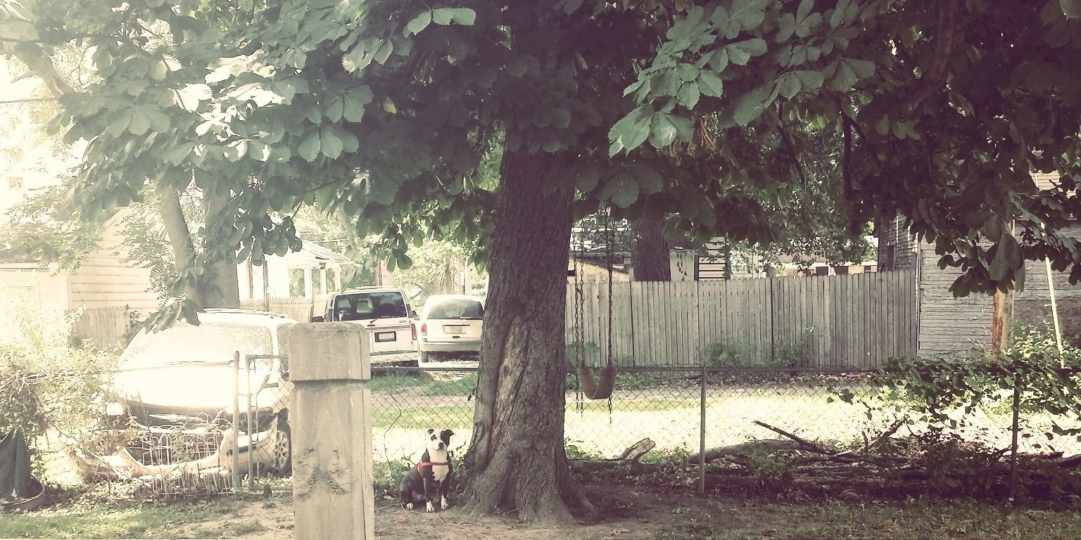 BonnoughJr's profile banner image