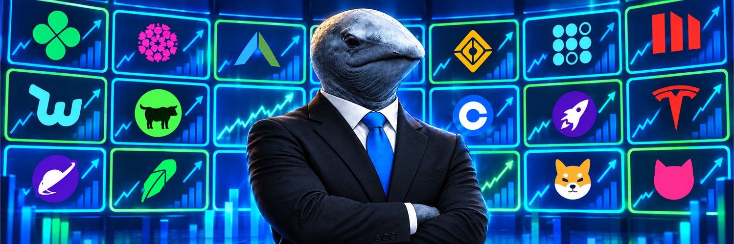 whaleszn's profile banner image
