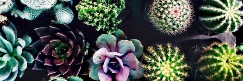 Liz_AD's profile banner image