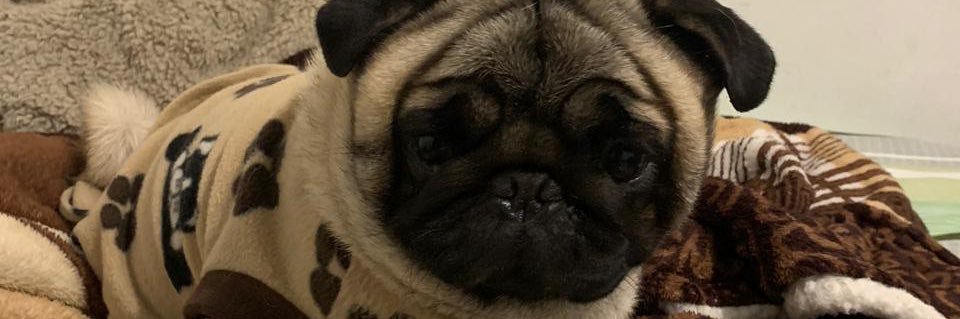 IvanPosso_25's profile banner image